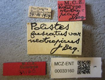 Media type: image;   Entomology 33160 Aspect: labels